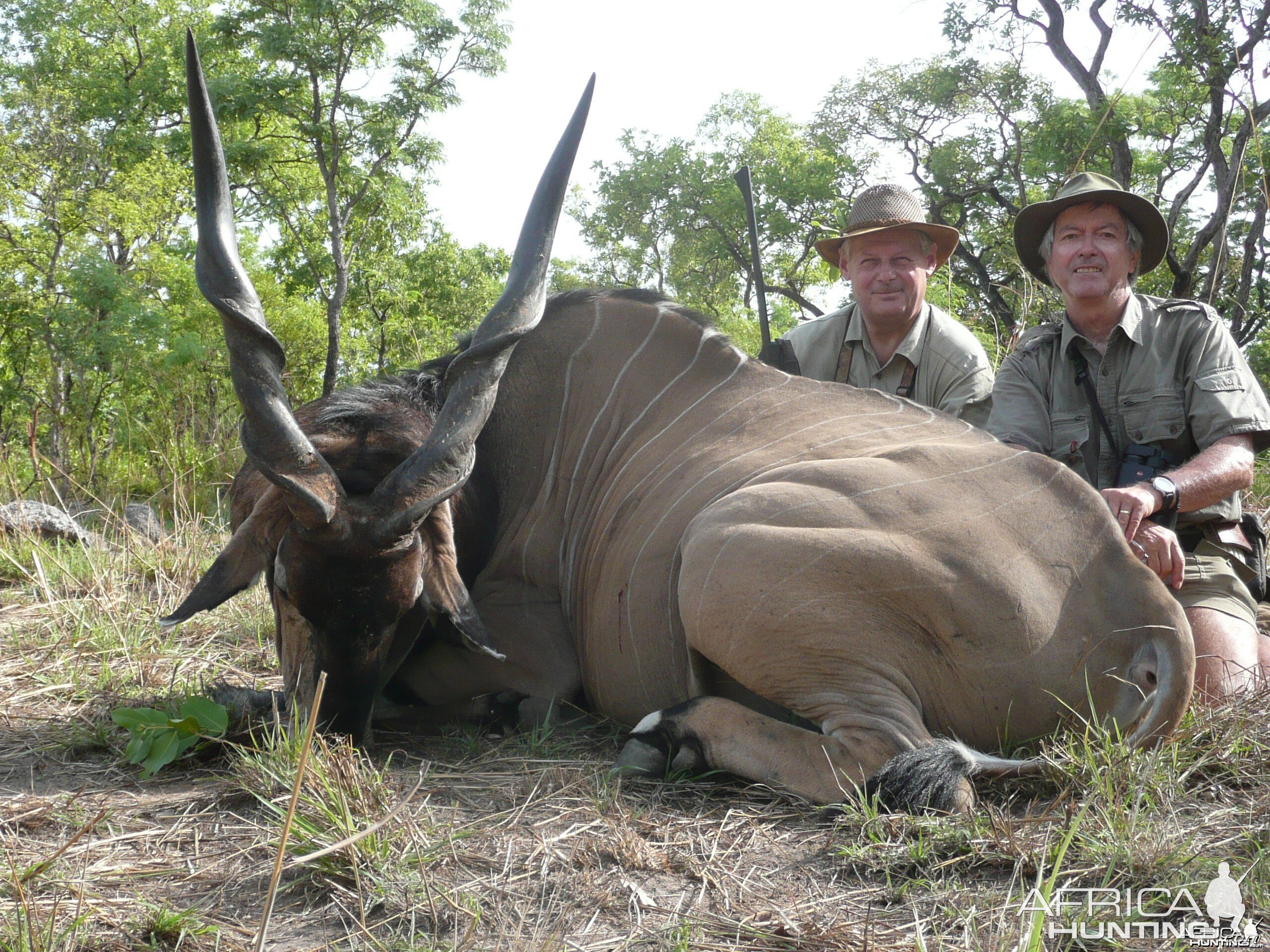 Hunting Lord Derby Eland in CAR with Rudy Lubin Safaris