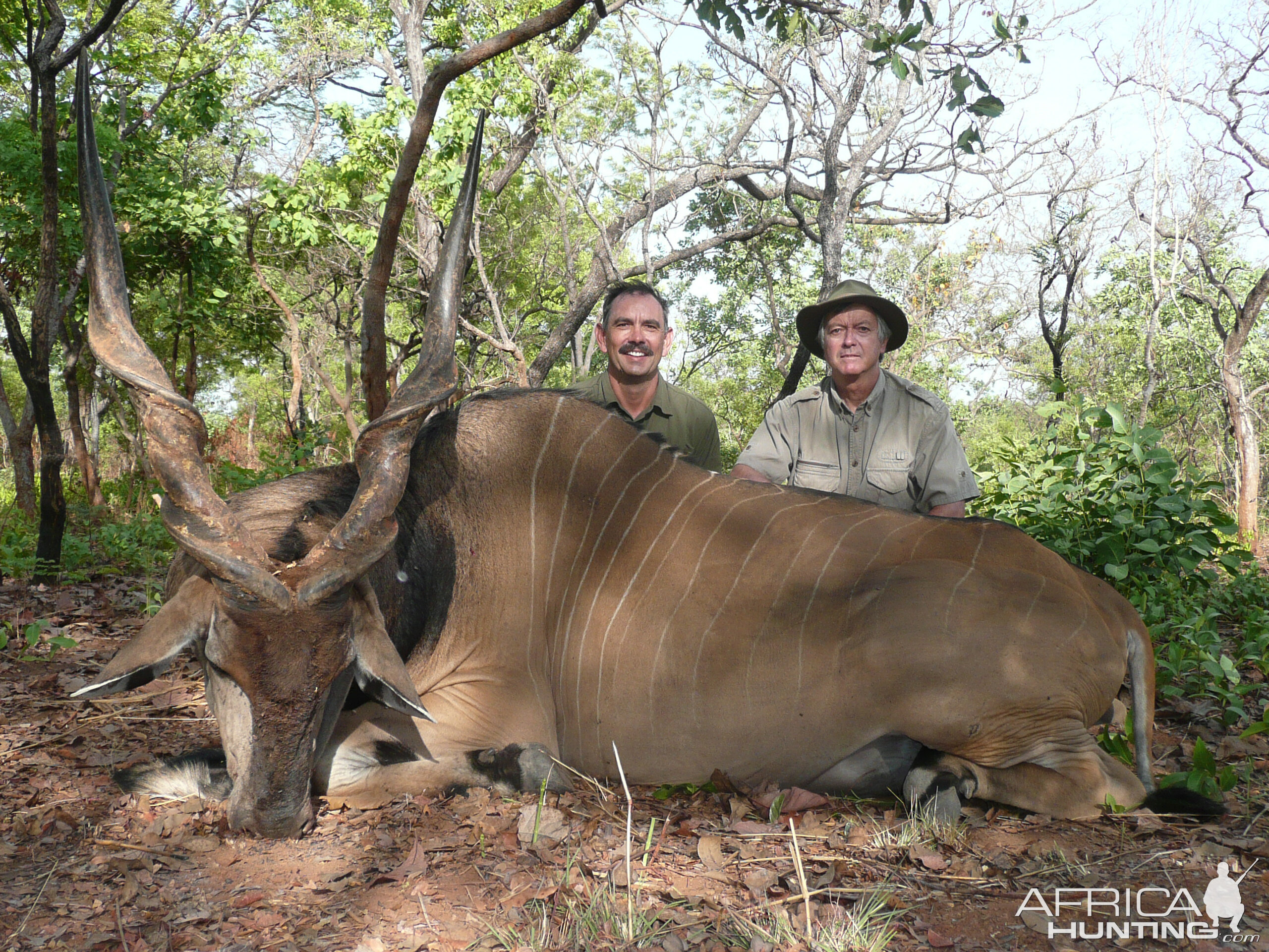 Hunting Lord Derby Eland in CAR with Rudy Lubin Safaris