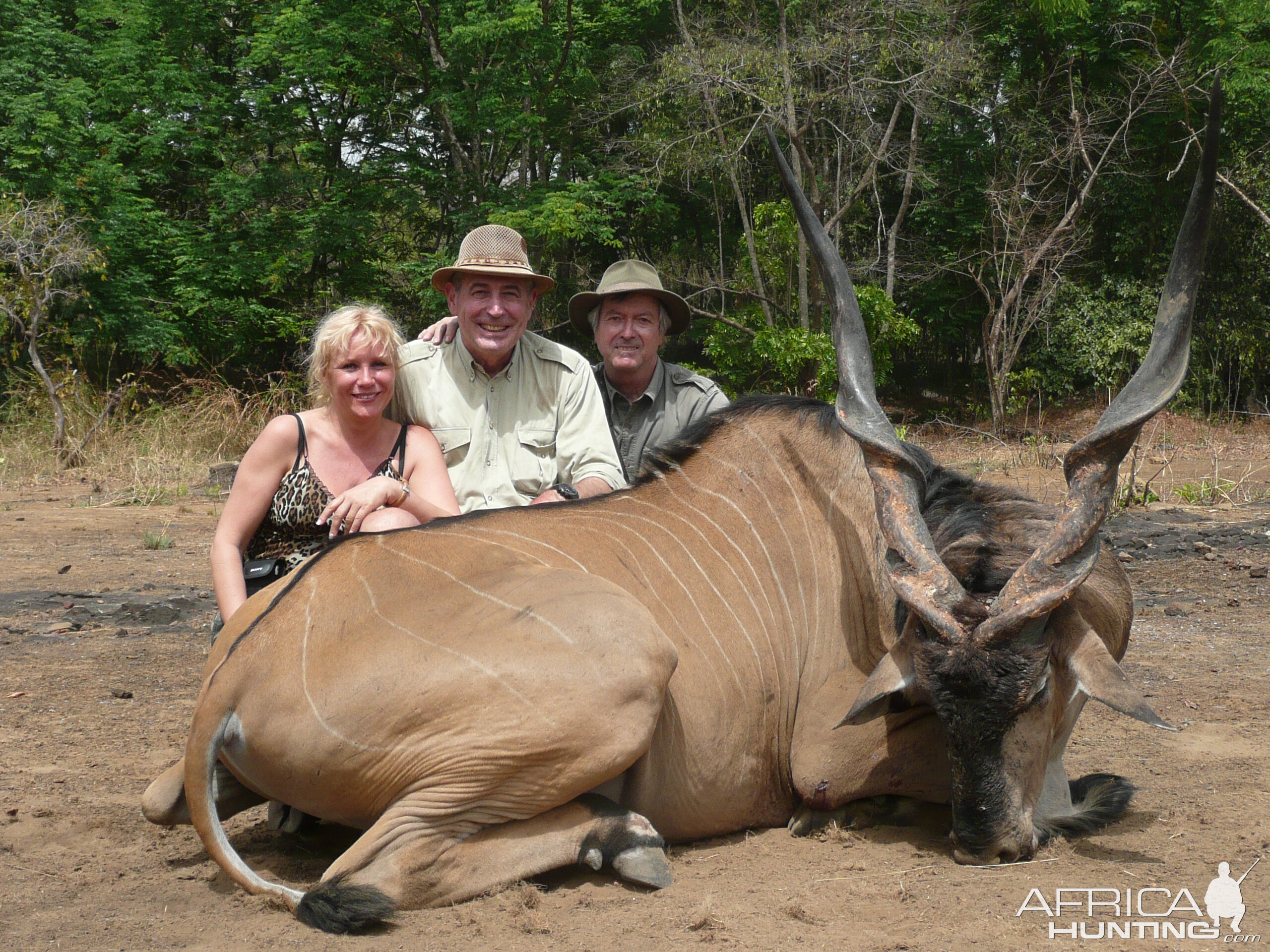 Hunting Lord Derby Eland in CAR with Rudy Lubin Safaris