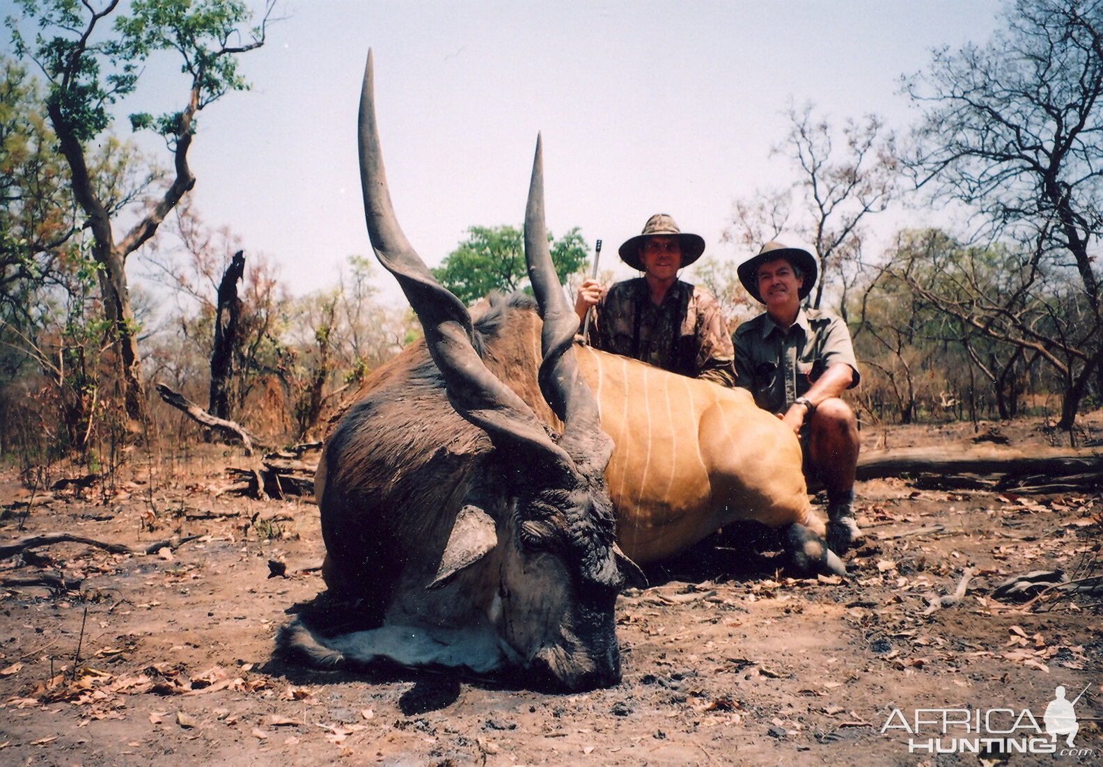 Hunting Lord Derby Eland in CAR with Rudy Lubin Safaris