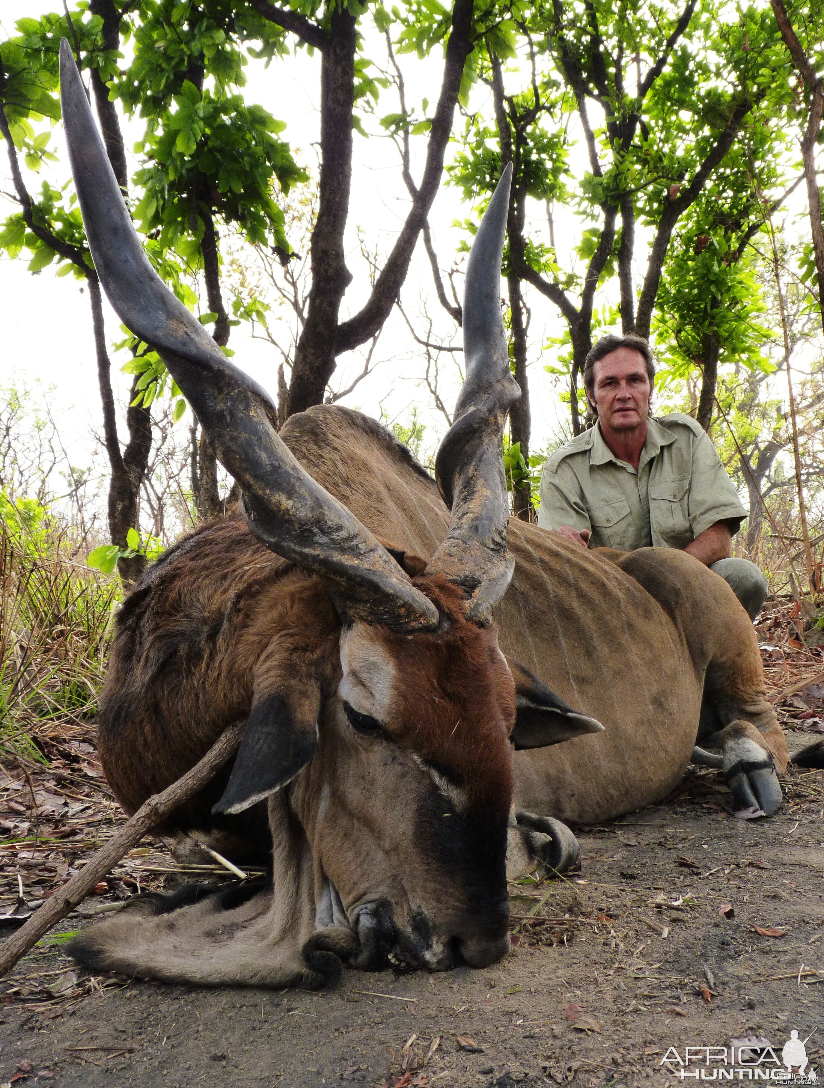 Hunting Lord Derby Eland in CAR