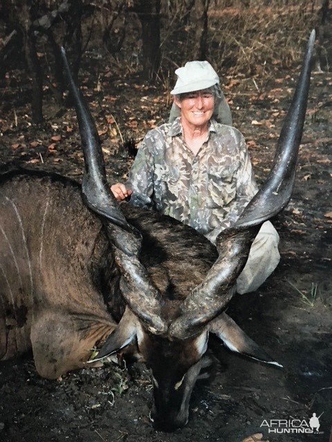 Hunting Lord Derby Eland in Central African Republic