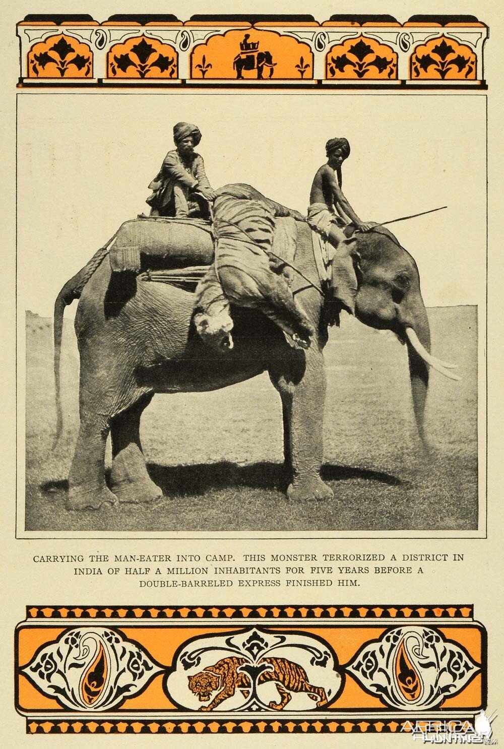 Hunting Man Eating Tiger in India with Elephants