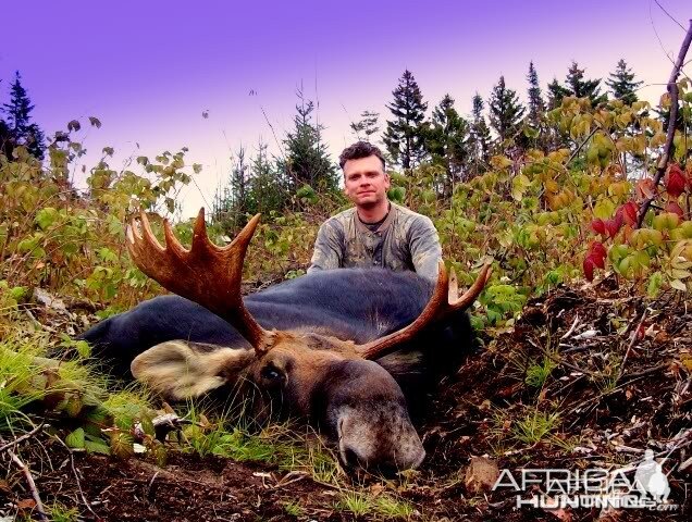 Hunting Moose Vermont