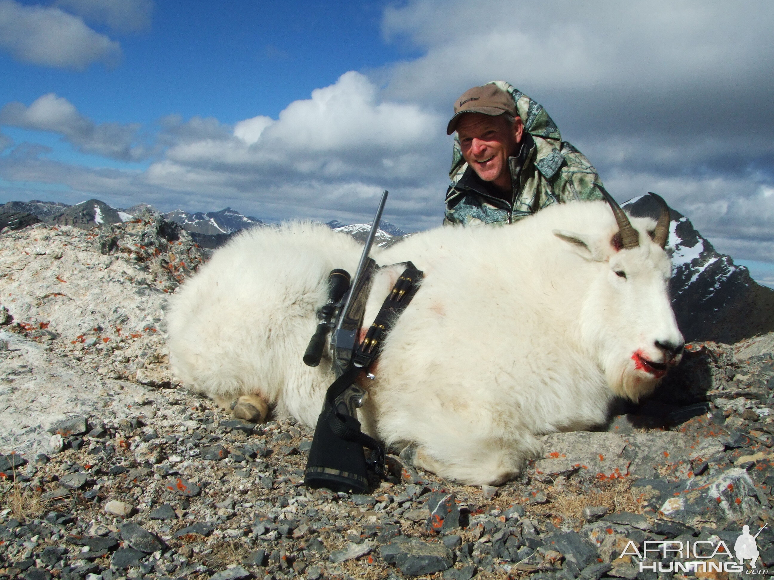 Hunting Mountain Goat