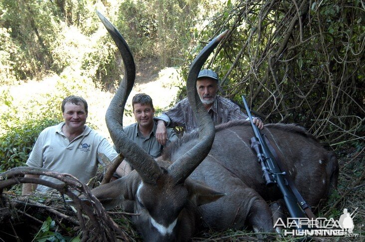 Hunting Mountain Nyala