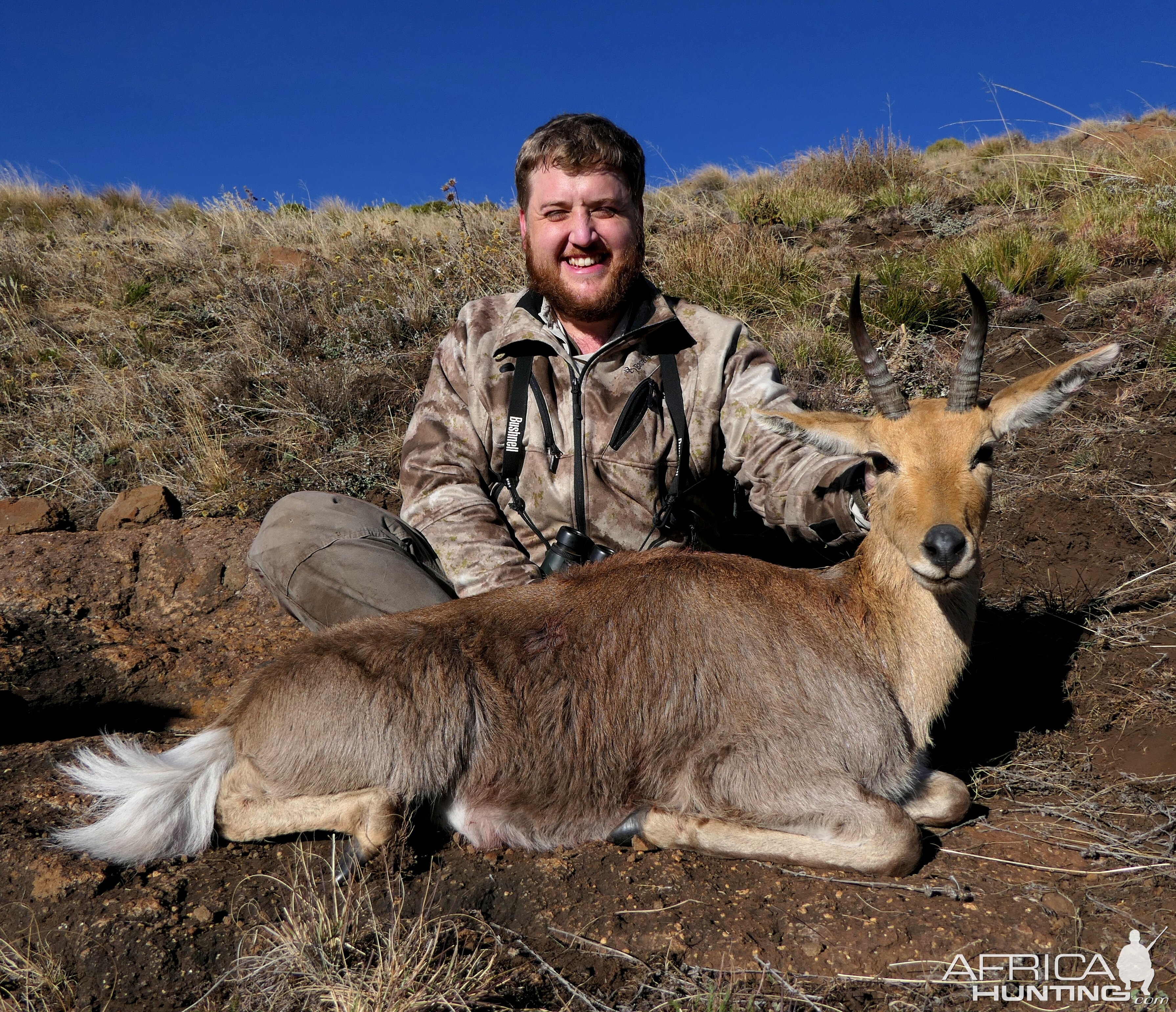 Hunting Mountain Reedbuck South Africa