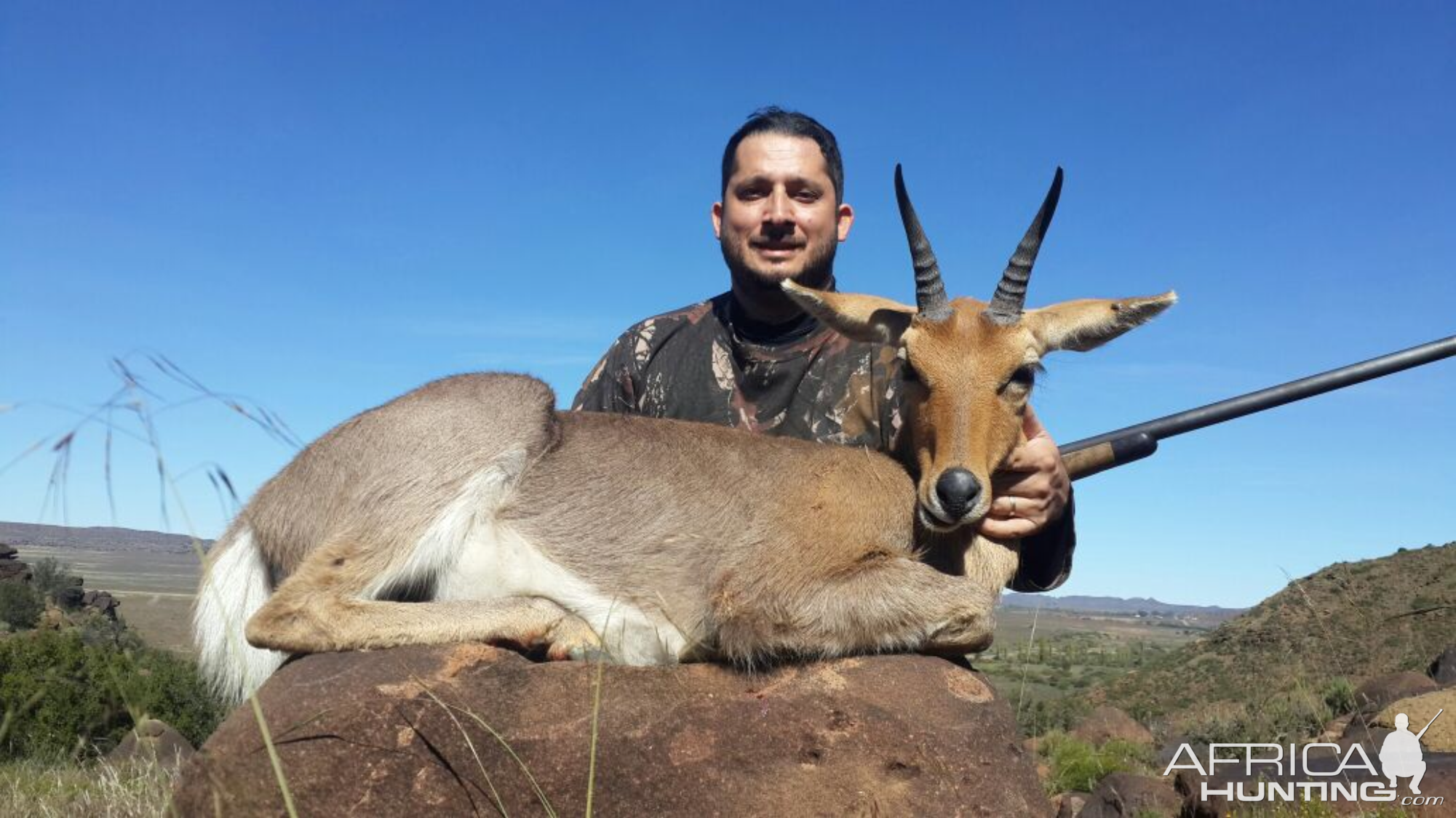 Hunting Mountain Reedbuck South Africa