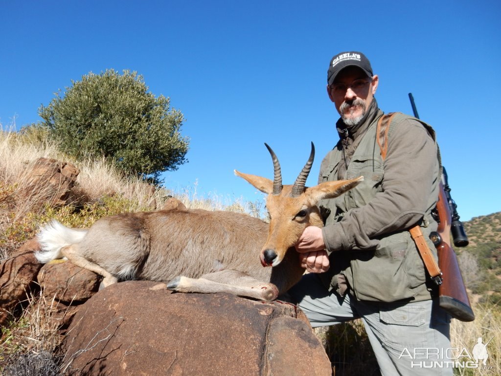 Hunting Mountain Reedbuck South Africa