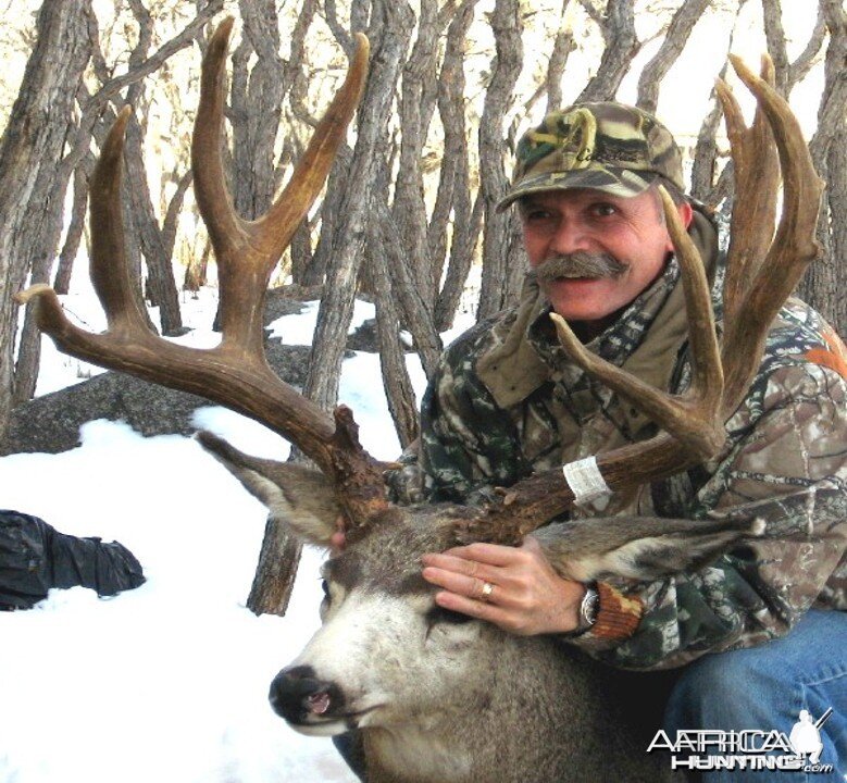 Hunting Mule Deer Buck