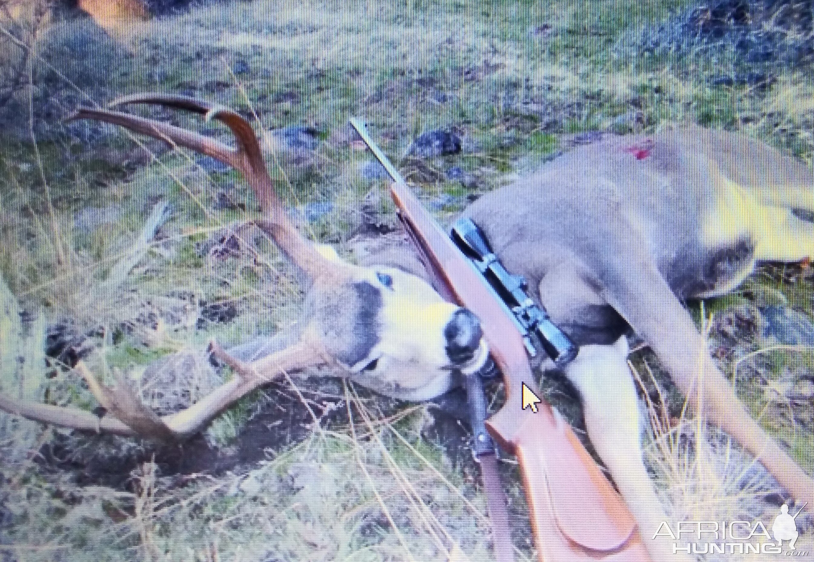 Hunting Mule Deer in USA