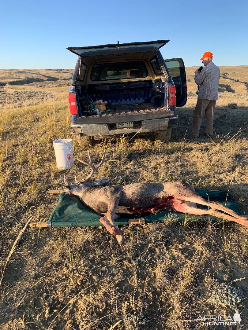 Hunting Mule Deer Wyoming USA