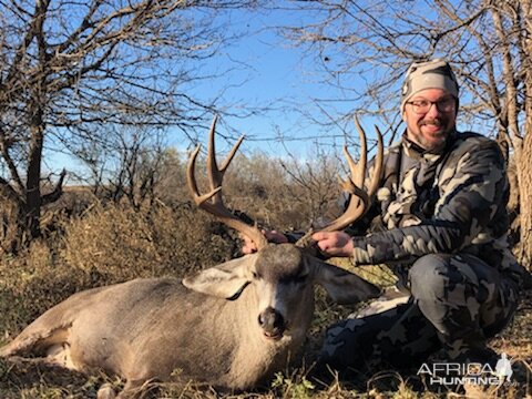 Hunting Mule Deer