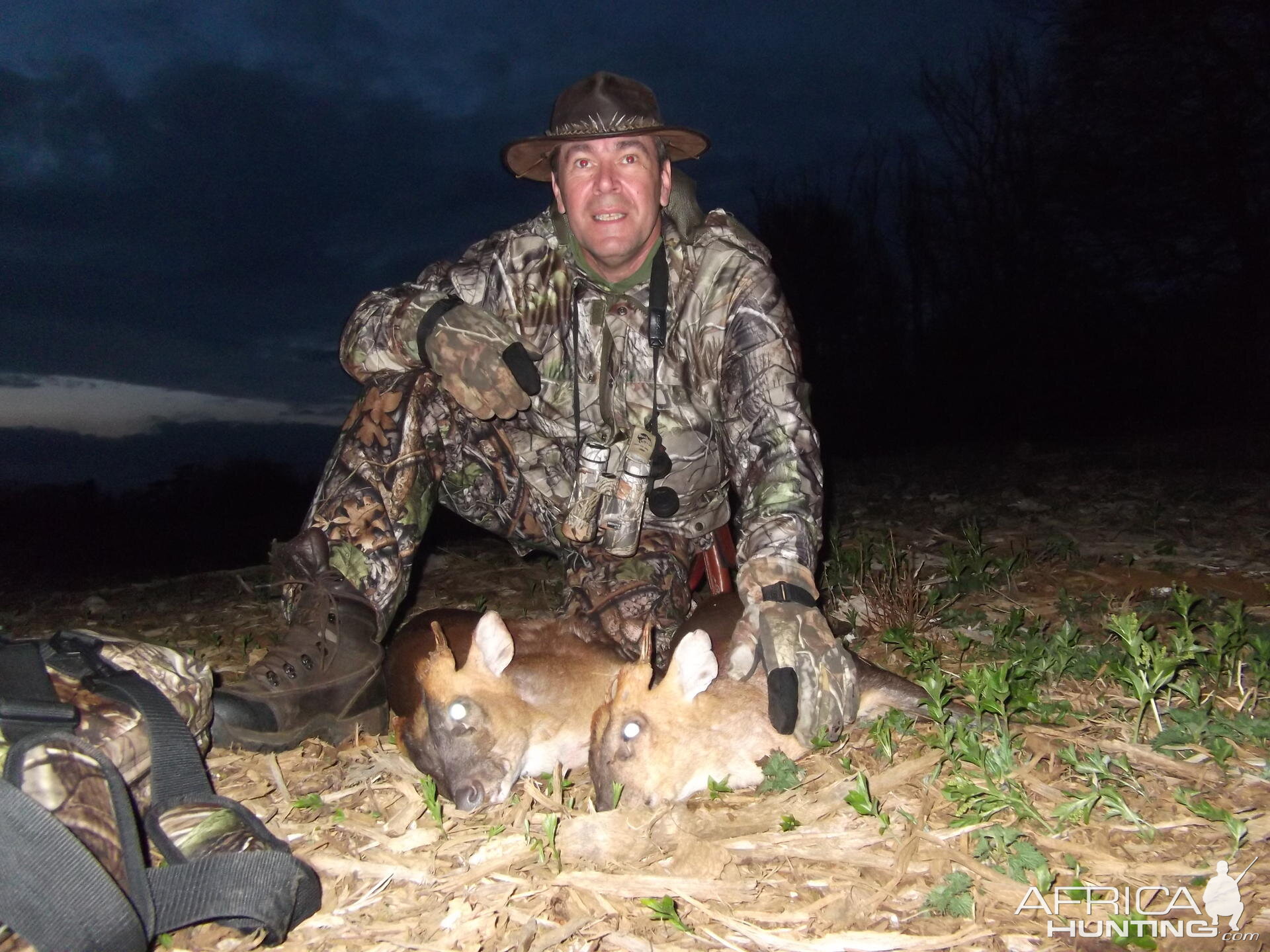 Hunting Muntjac at Leicestershire Castle in England