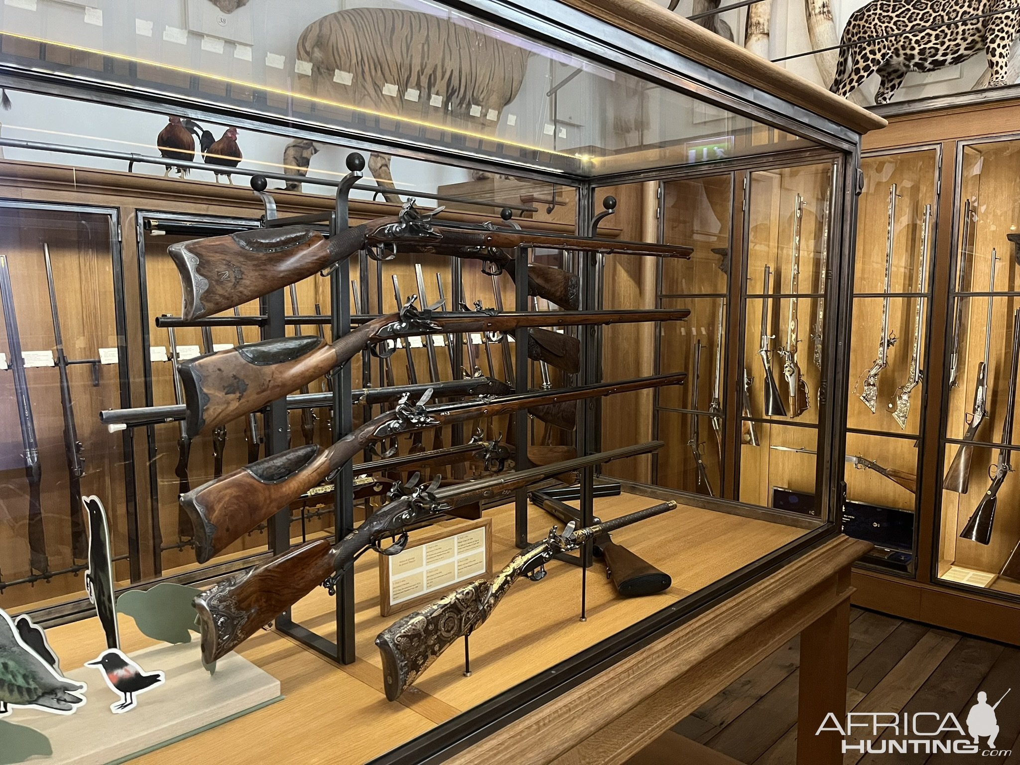 Hunting Museum Paris