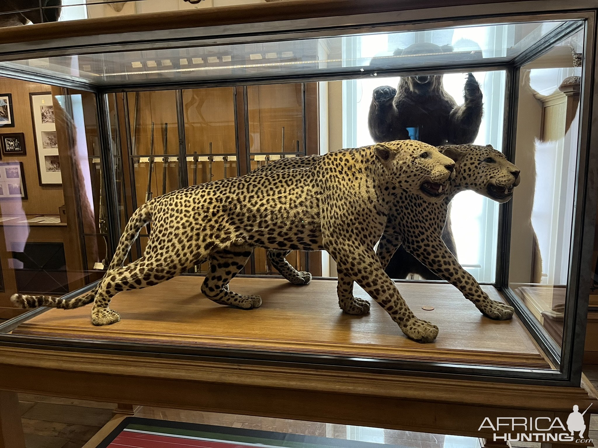 Hunting Museum Paris