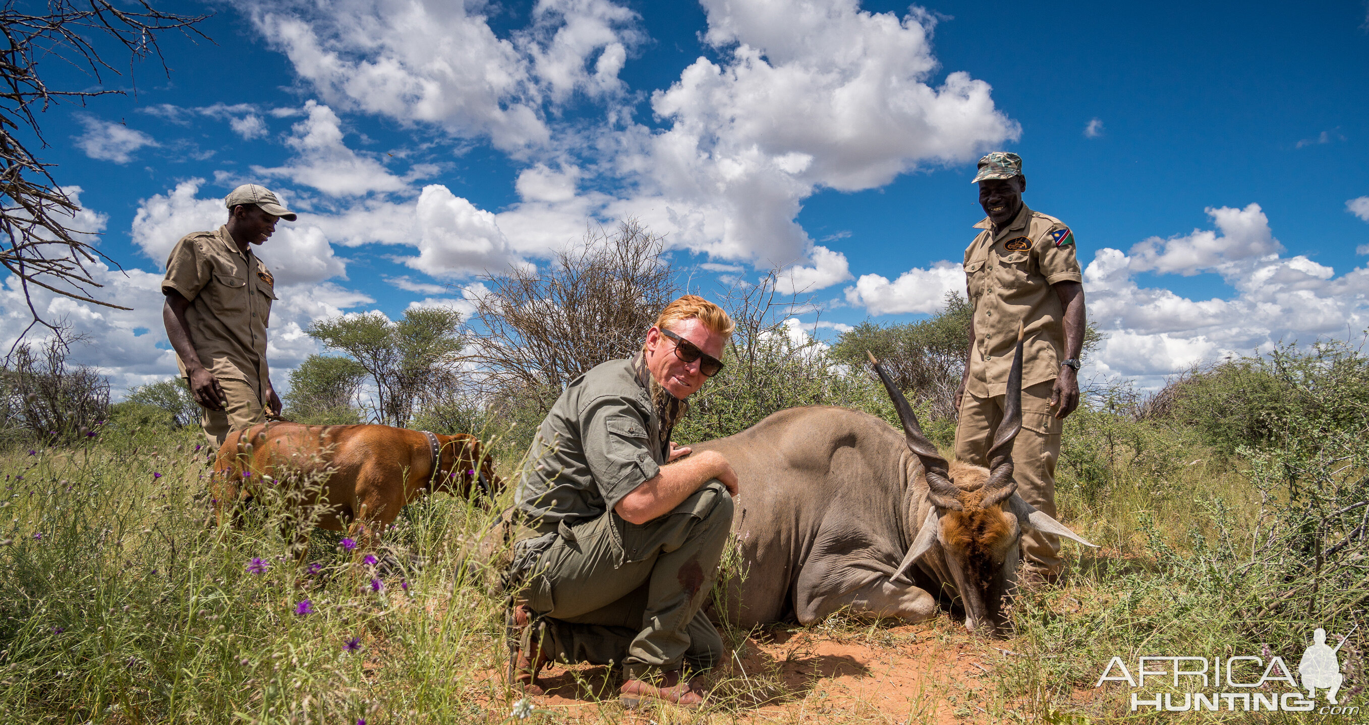 Hunting Nambia Eland