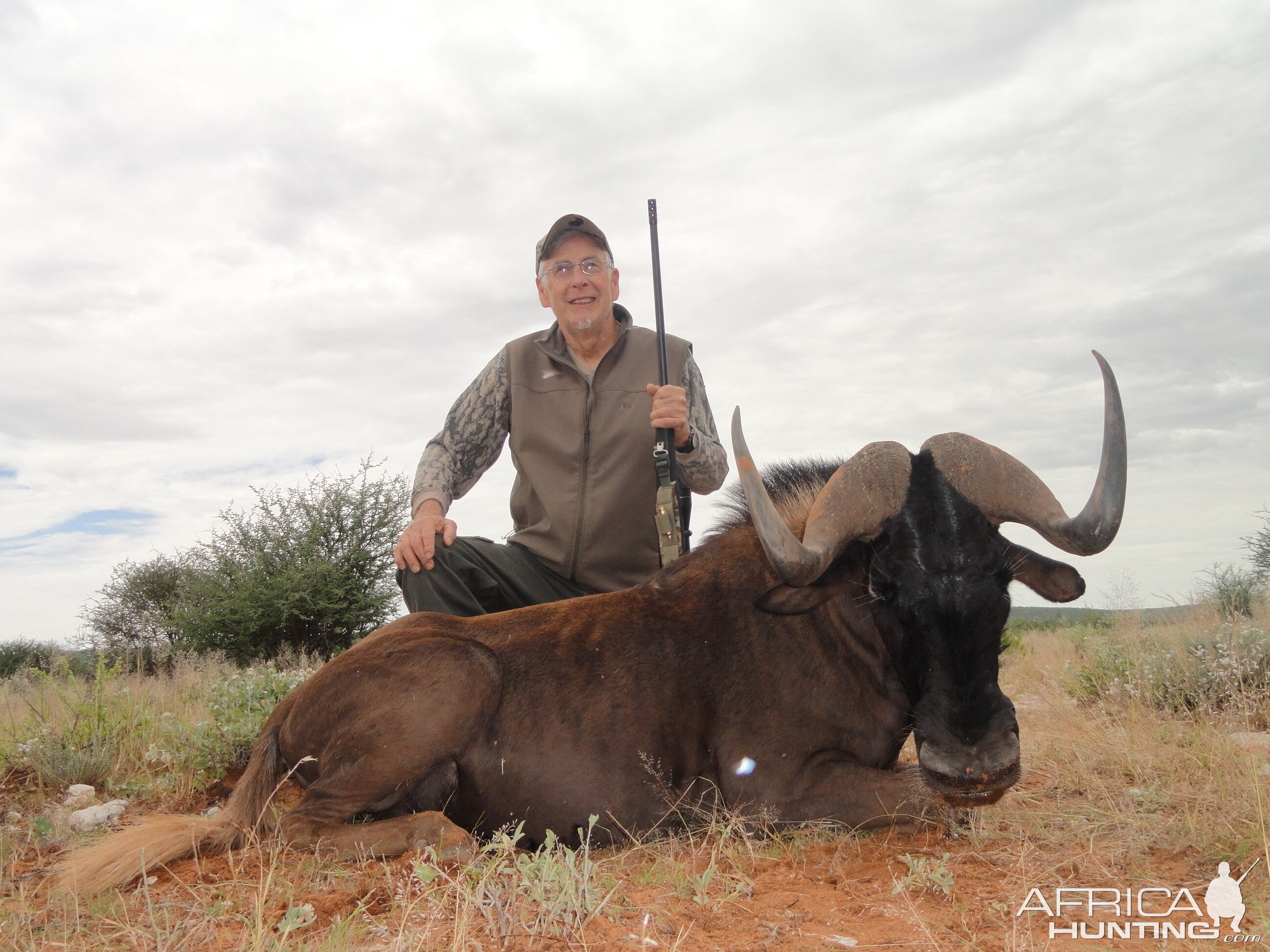 Hunting Namibia Black Wildebeest