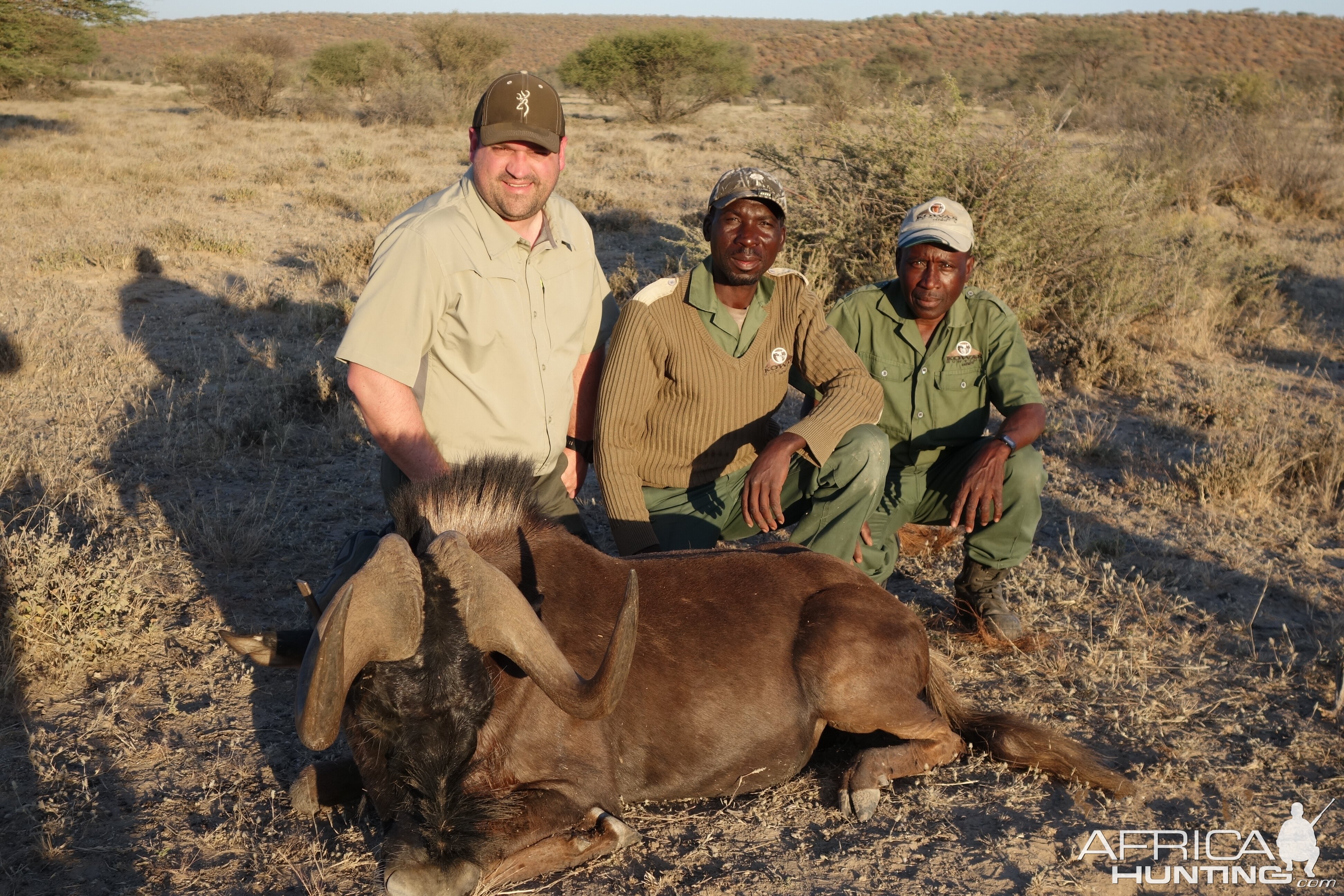 Hunting Namibia Black Wildebeest