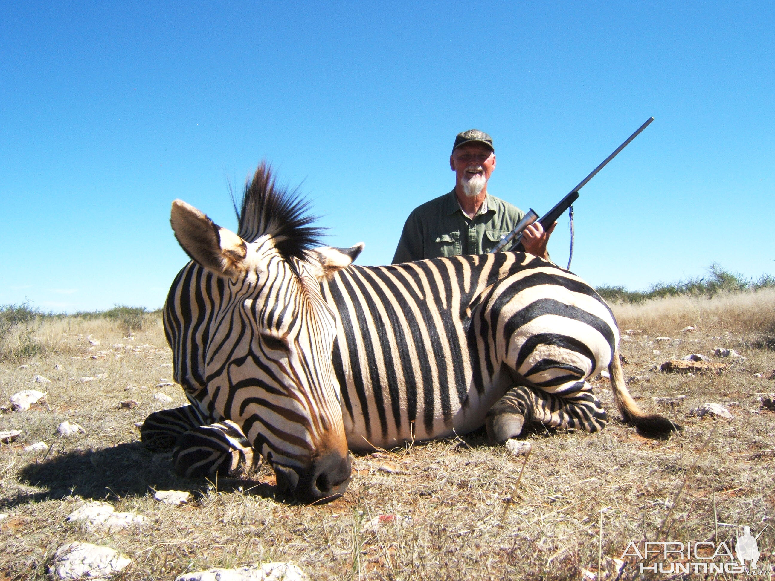 Hunting Namibia Hartmann Mountain Zebra