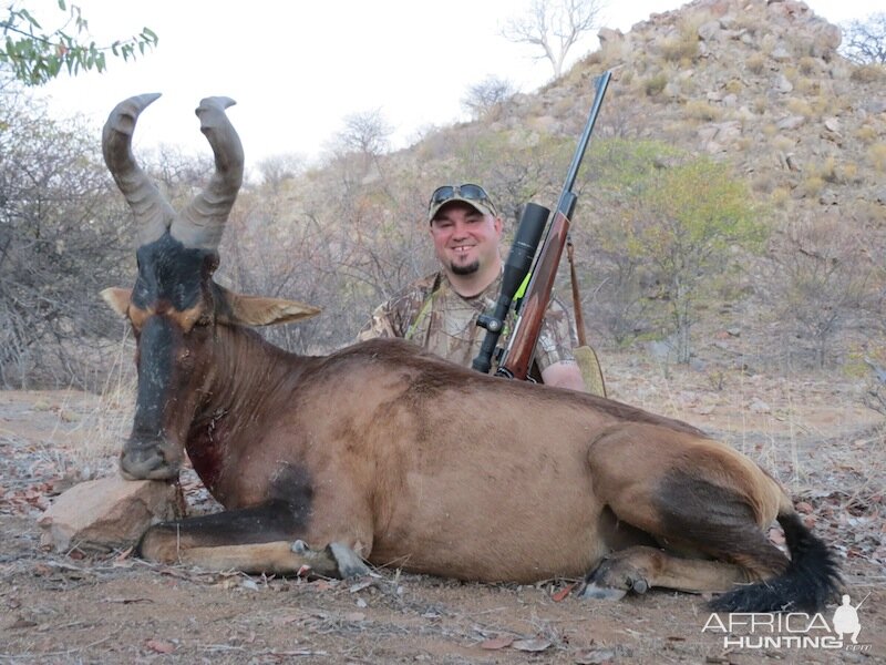 Hunting Namibia Red Hartebeest