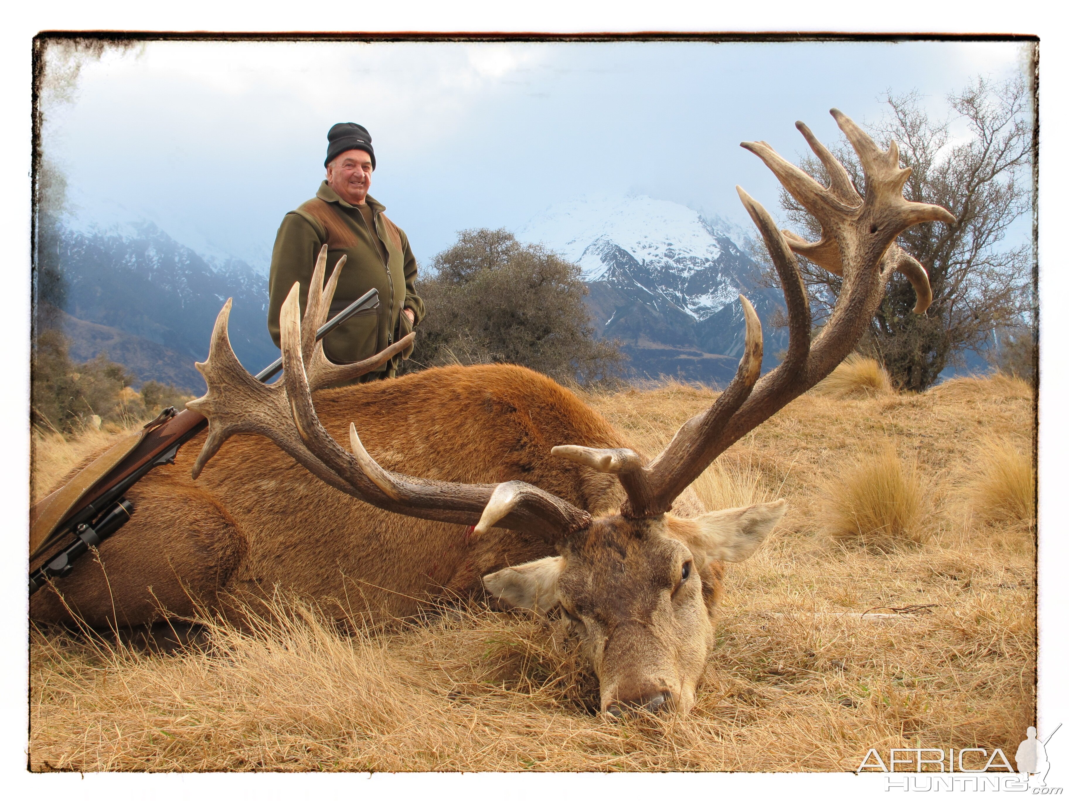 Hunting New Zealand Red Stag