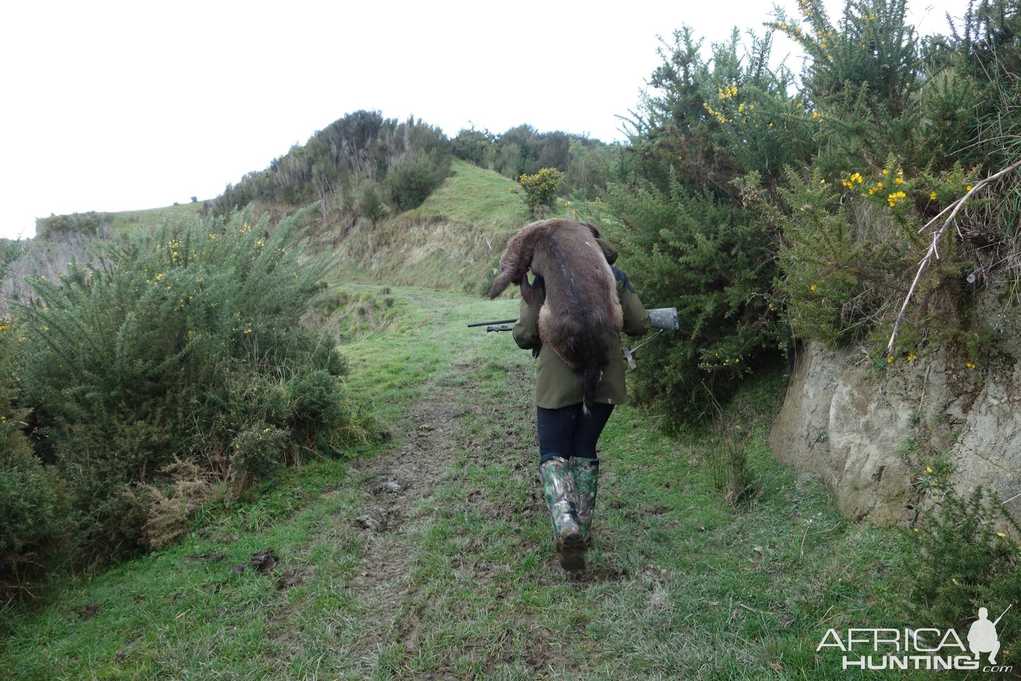 Hunting New Zealand