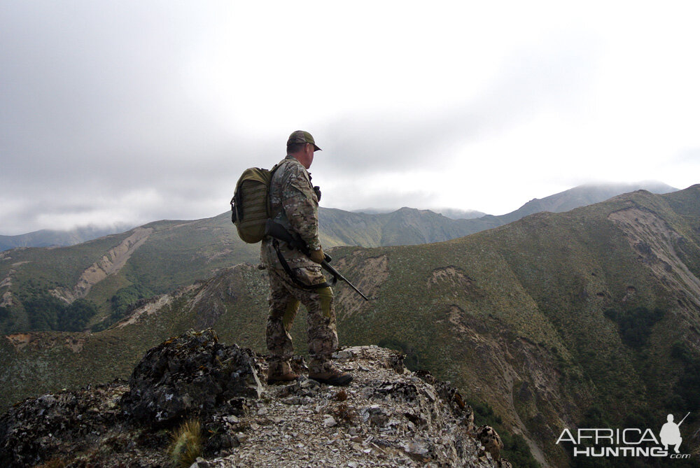 Hunting New Zealand