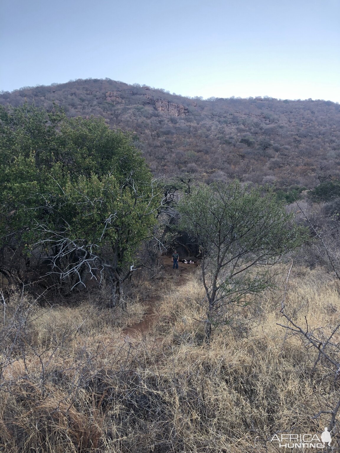 Hunting Night Critters & Small Cats South Africa