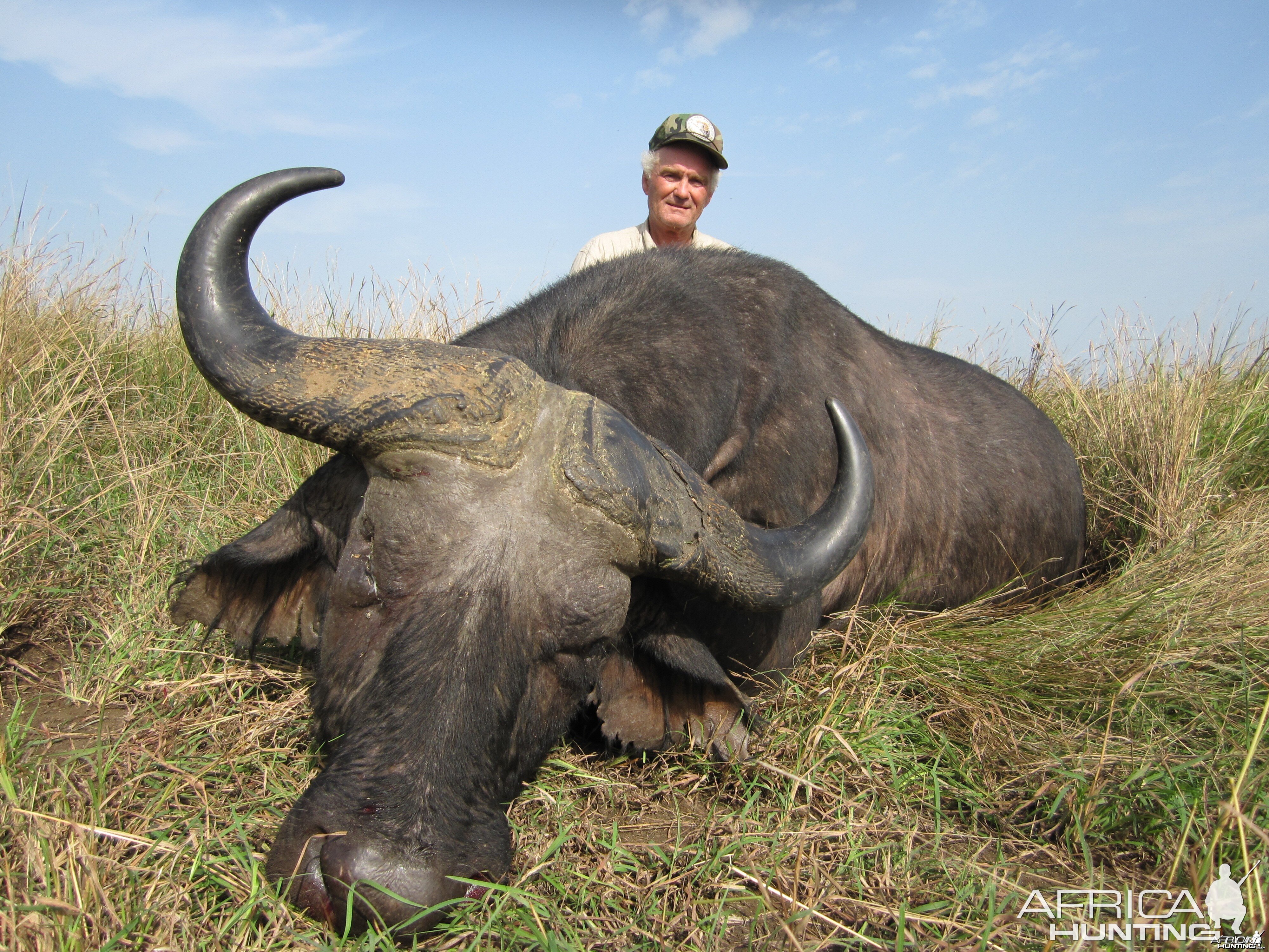 Hunting Nile Buffalo Uganda