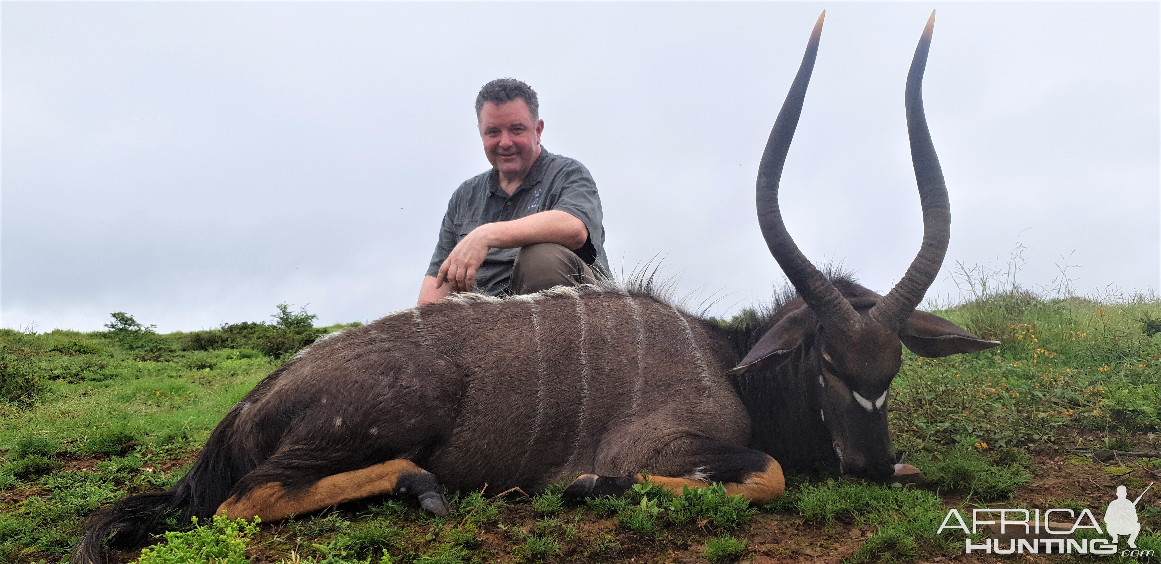 Hunting Nyala Eastern Cape South Africa