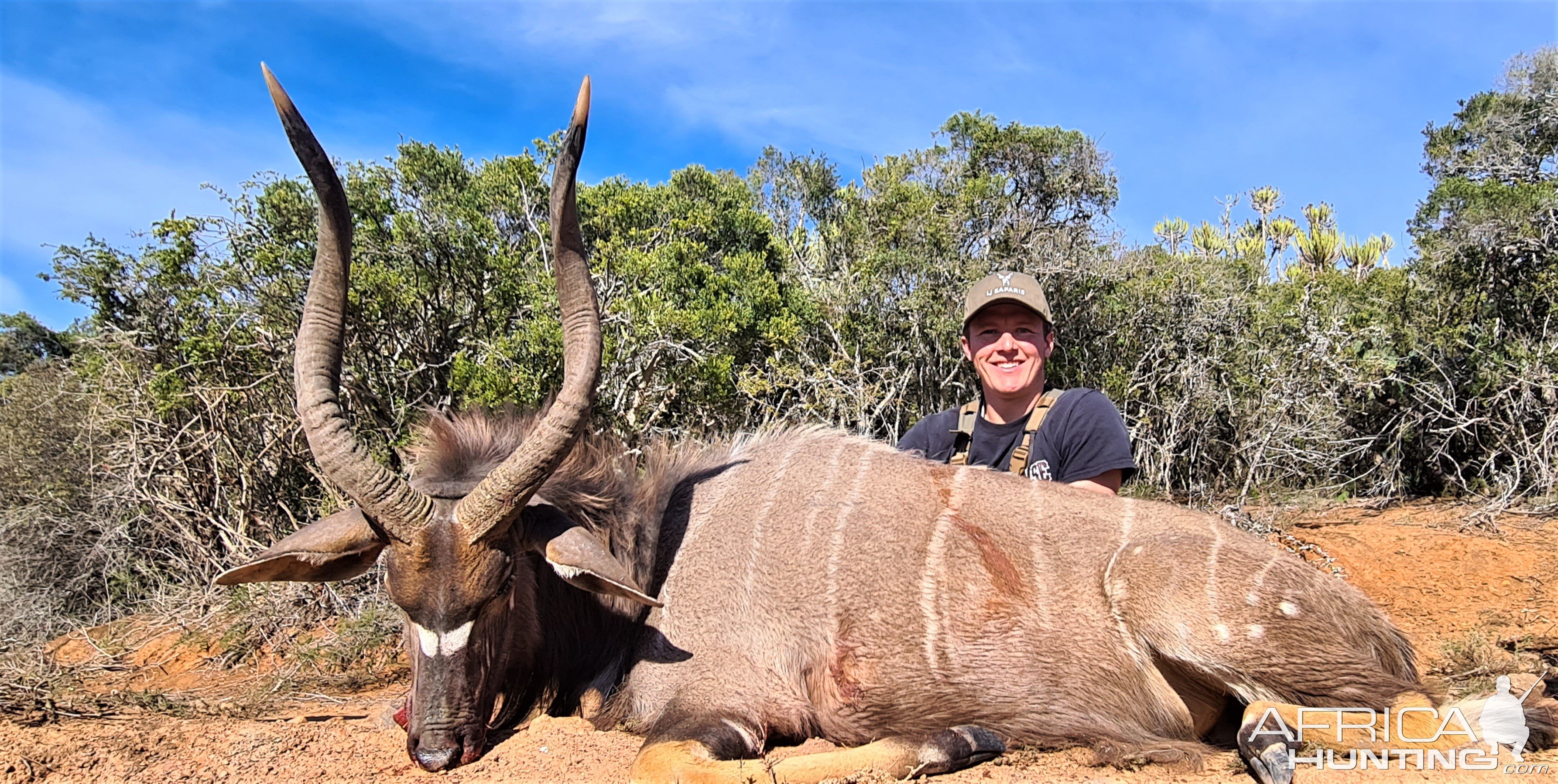 Hunting Nyala Eastern Cape South Africa