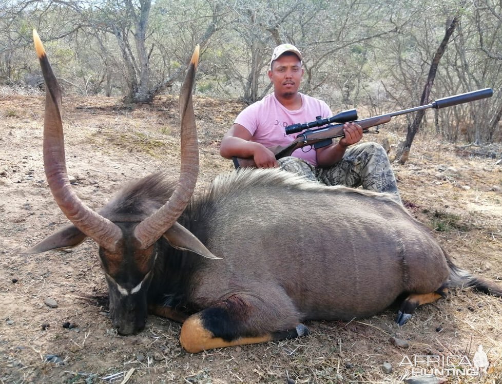 Hunting Nyala in South Africa