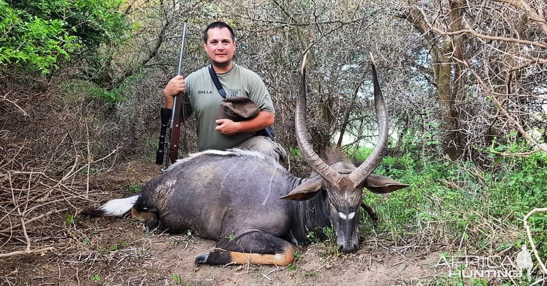 Hunting Nyala in South Africa