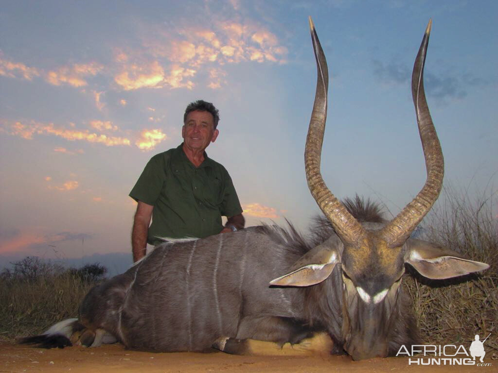 Hunting Nyala in South Africa