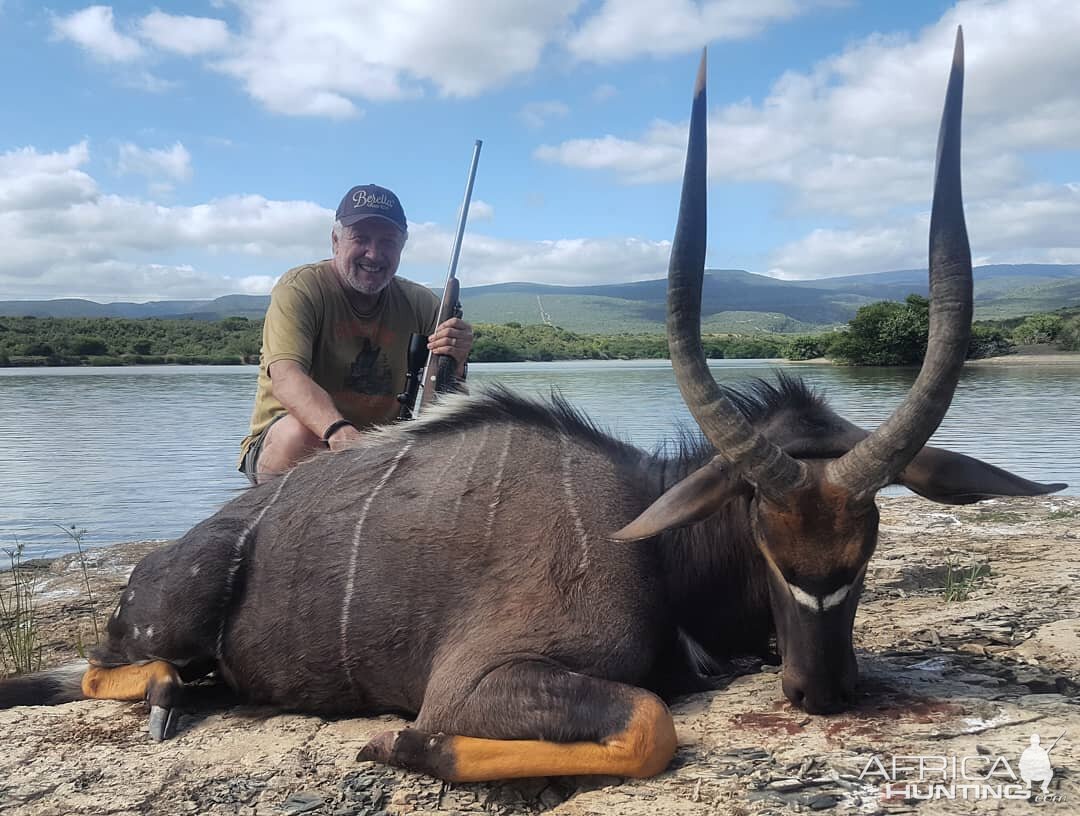 Hunting Nyala in South Africa