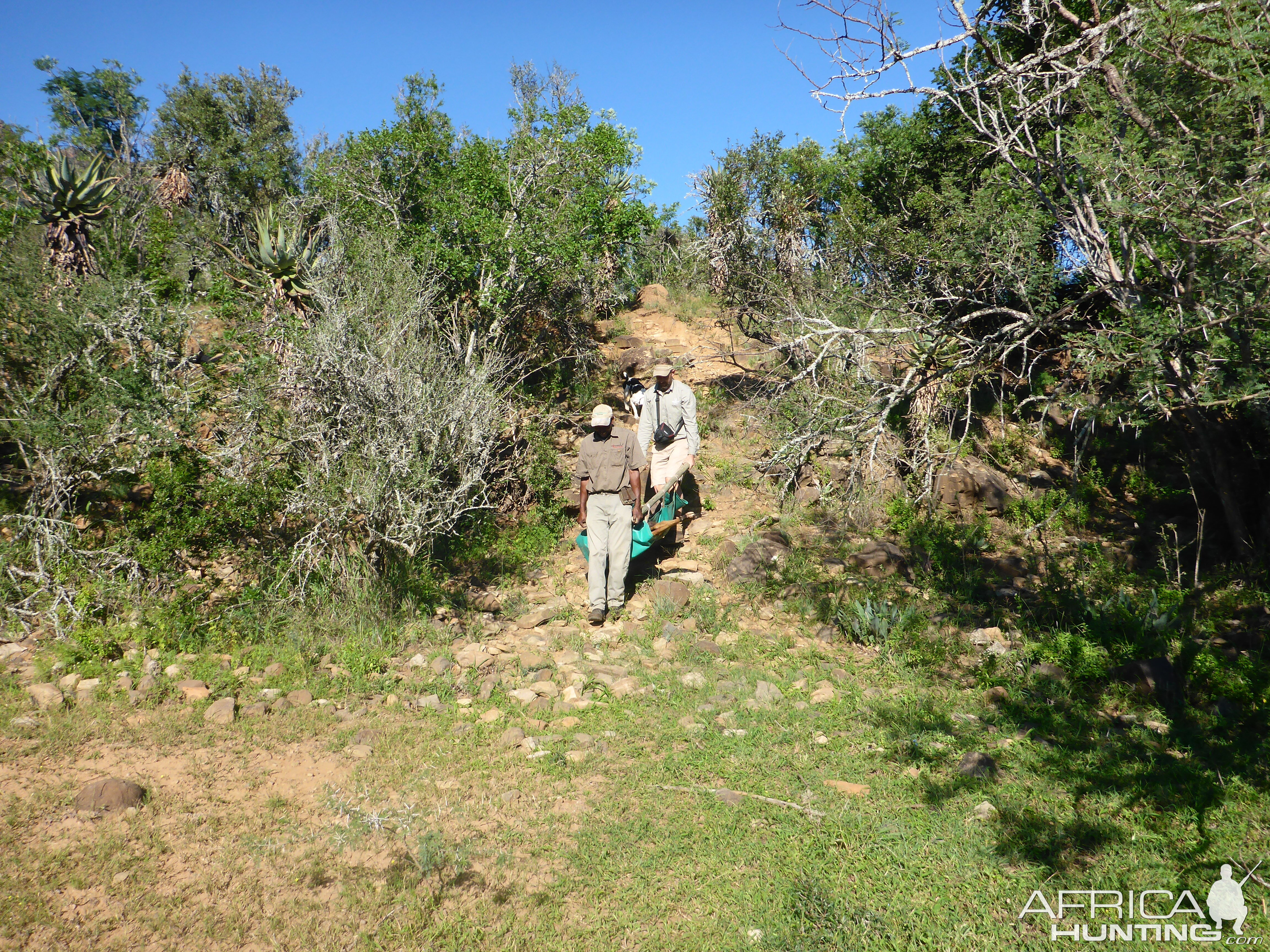 Hunting Nyala in South Africa