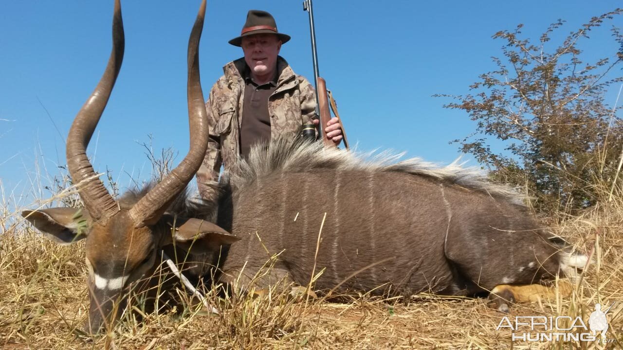 Hunting Nyala in South Africa