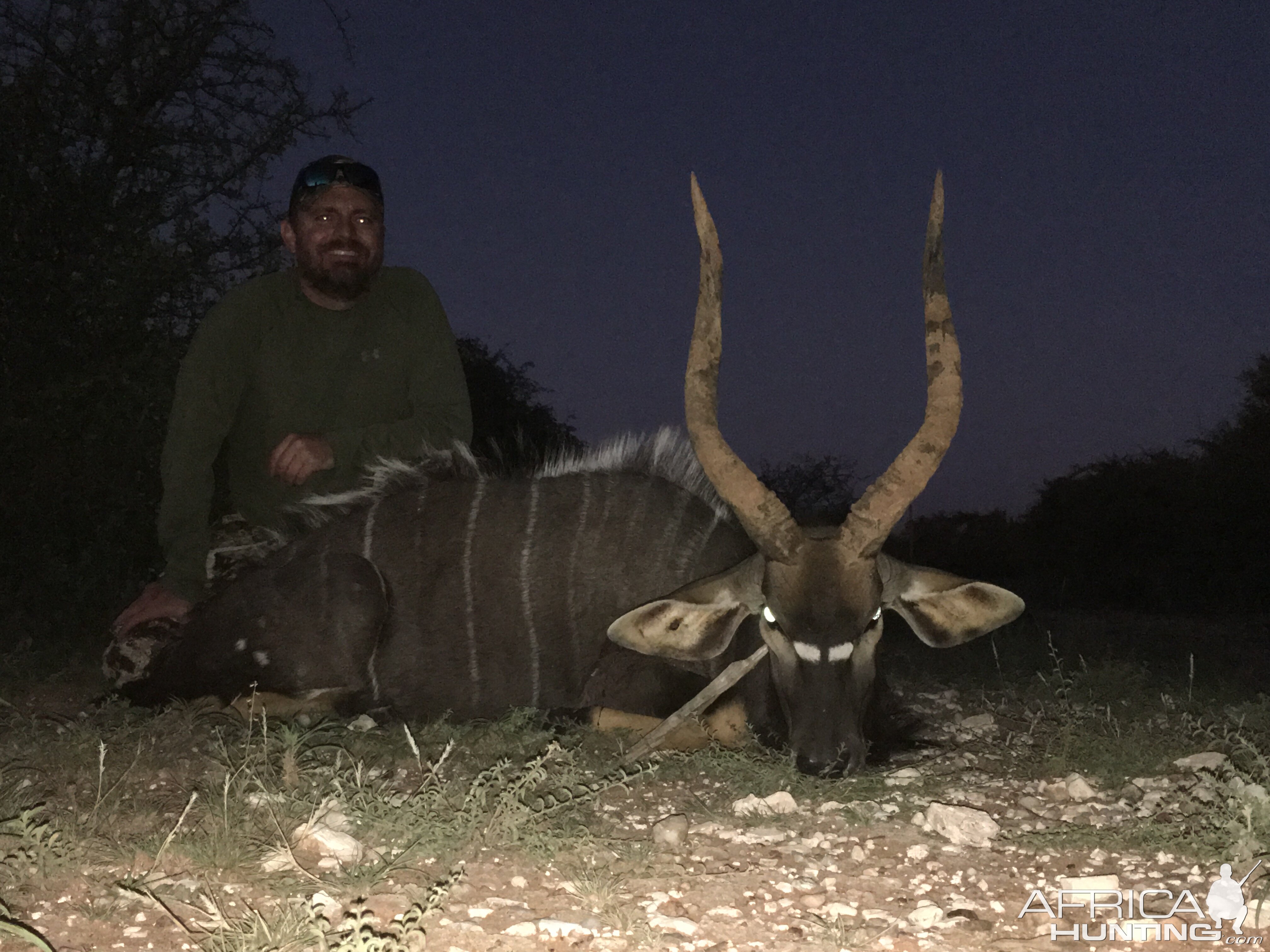 Hunting Nyala in South Africa