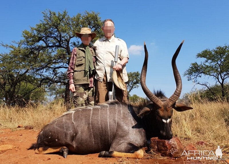 Hunting Nyala in South Africa