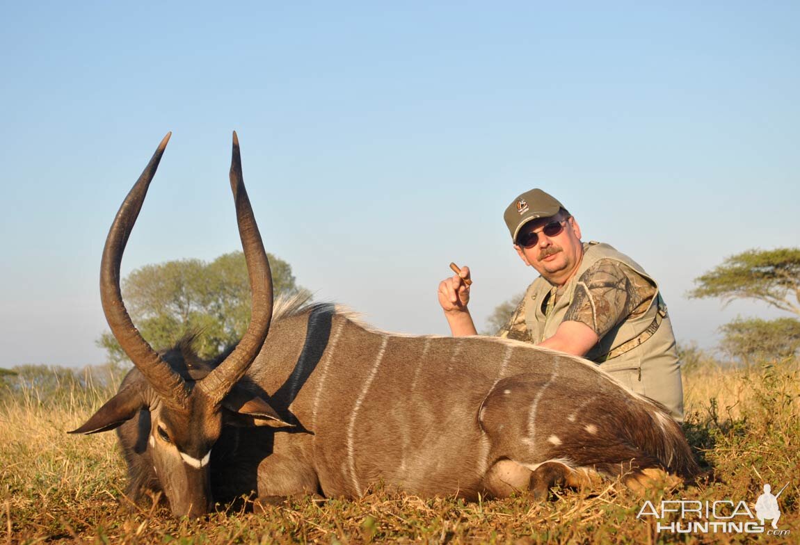 Hunting Nyala South Africa