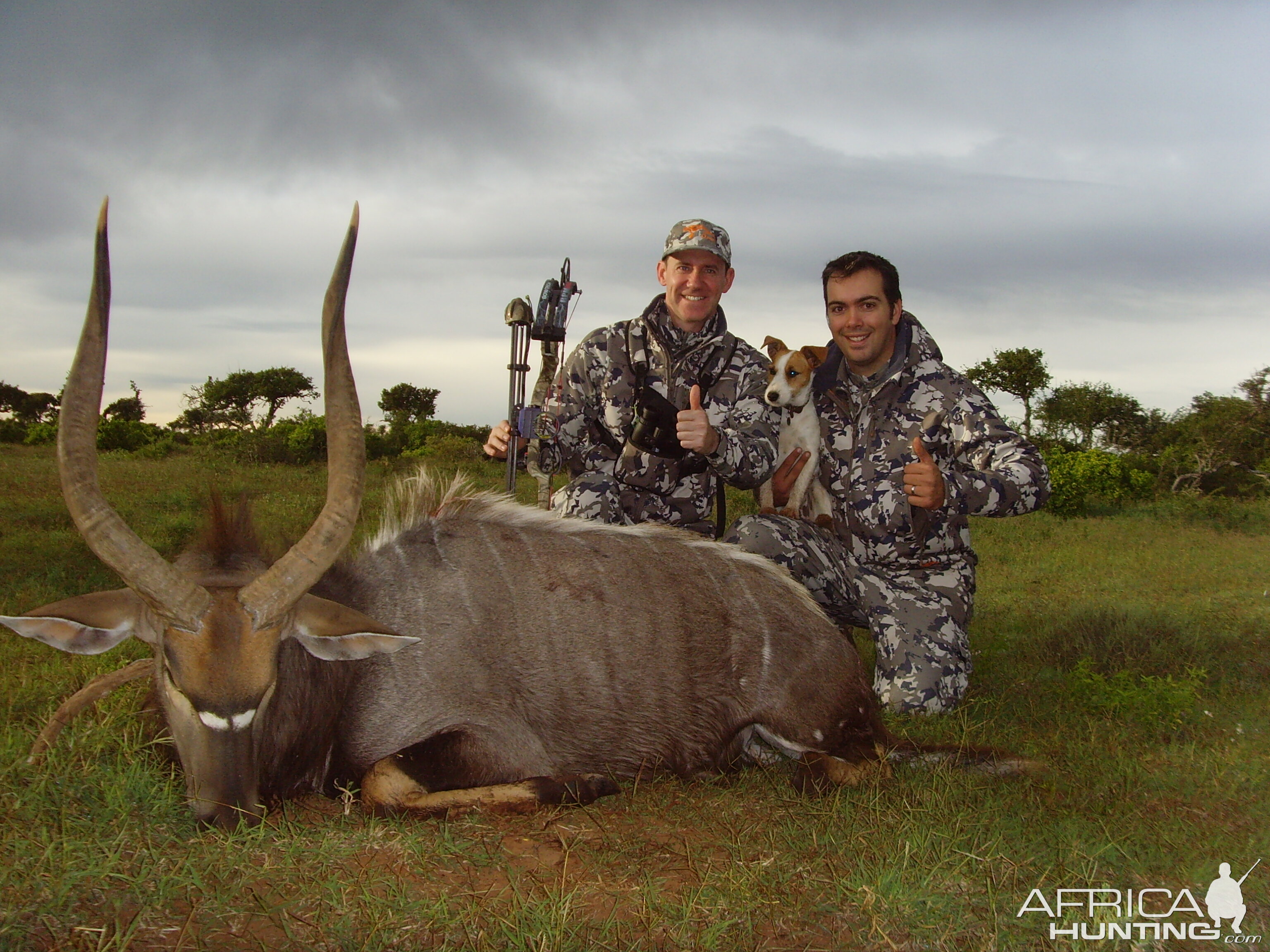 Hunting Nyala South Africa