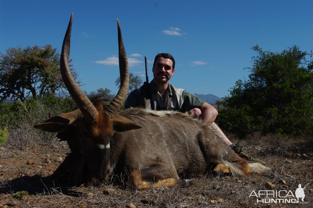 Hunting Nyala South Africa