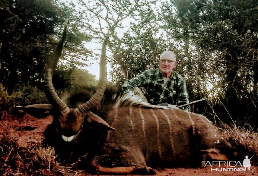 Hunting Nyala South Africa