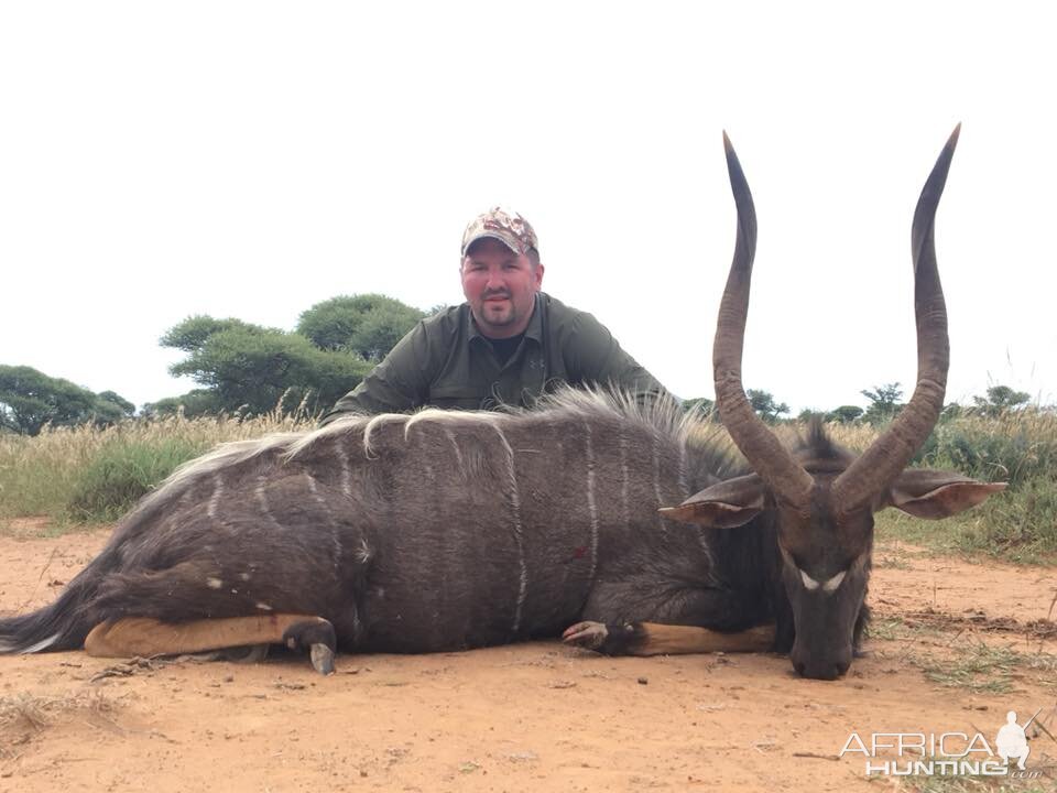 Hunting Nyala South Africa