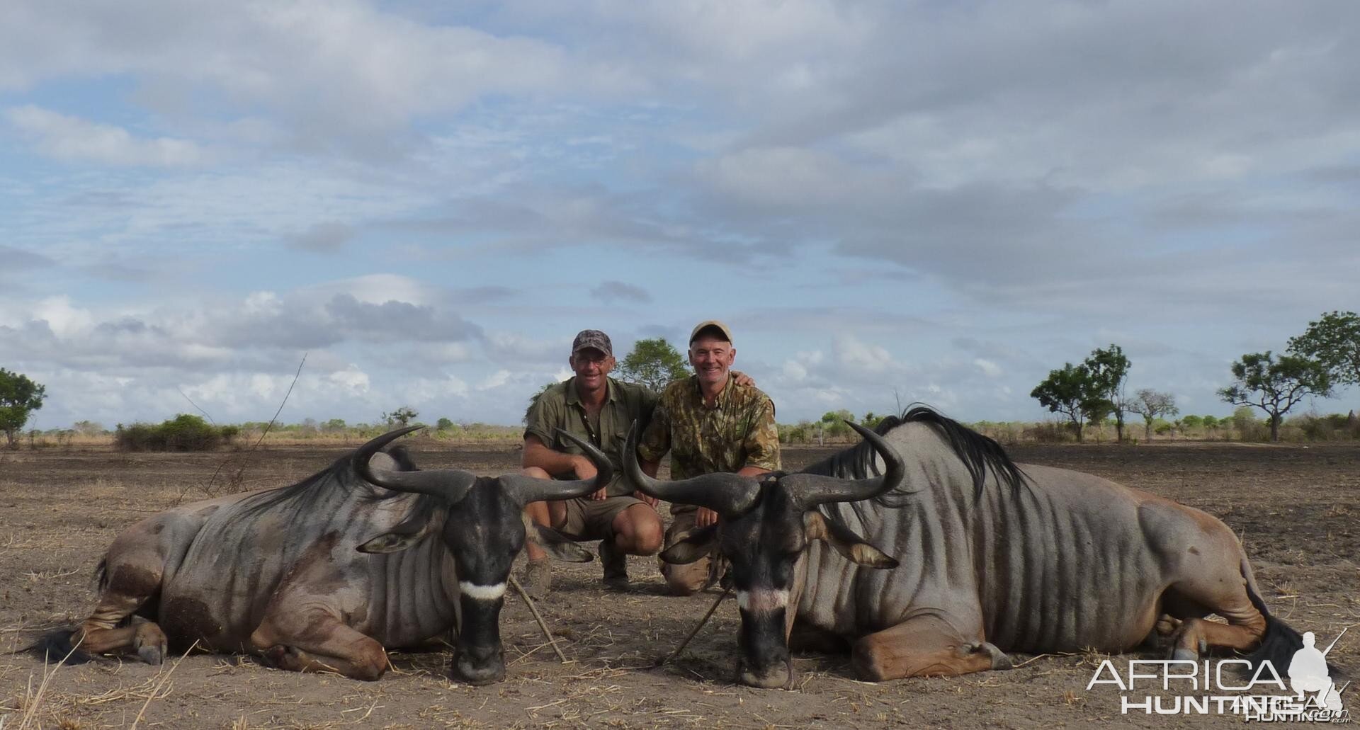 Hunting Nyasaland Wildebeest in Tanzania