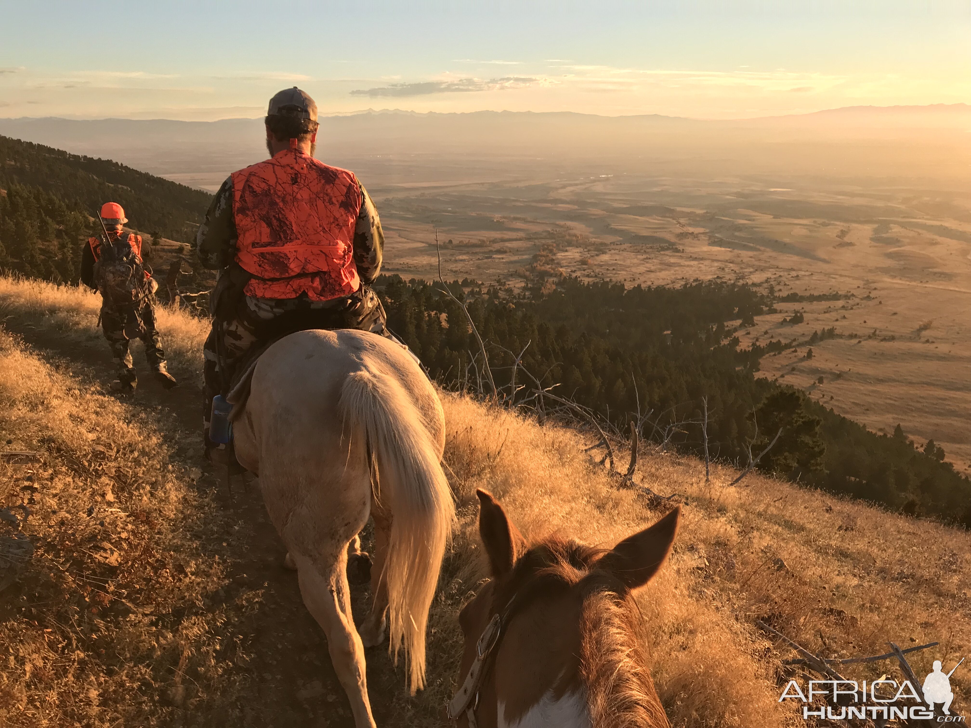 Hunting on horseback in Montana