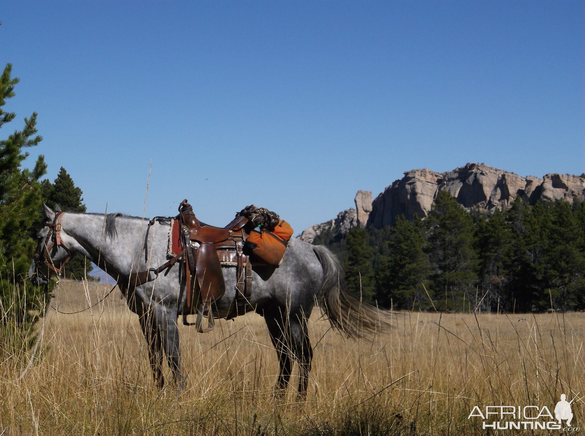 Hunting On Horseback in the Big Horn Mountains