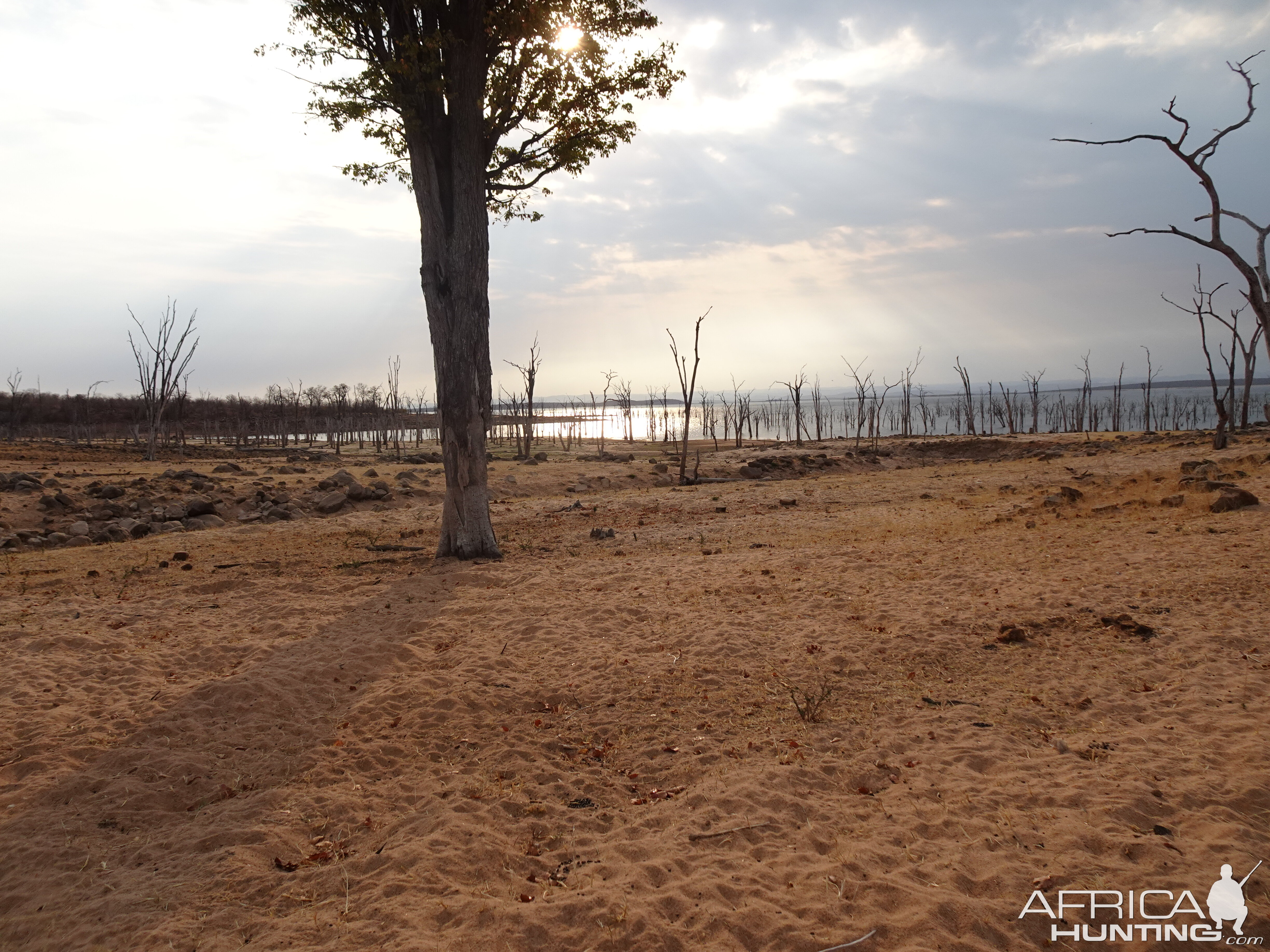 Hunting on the shores of Lake Kariba Zimbabwe