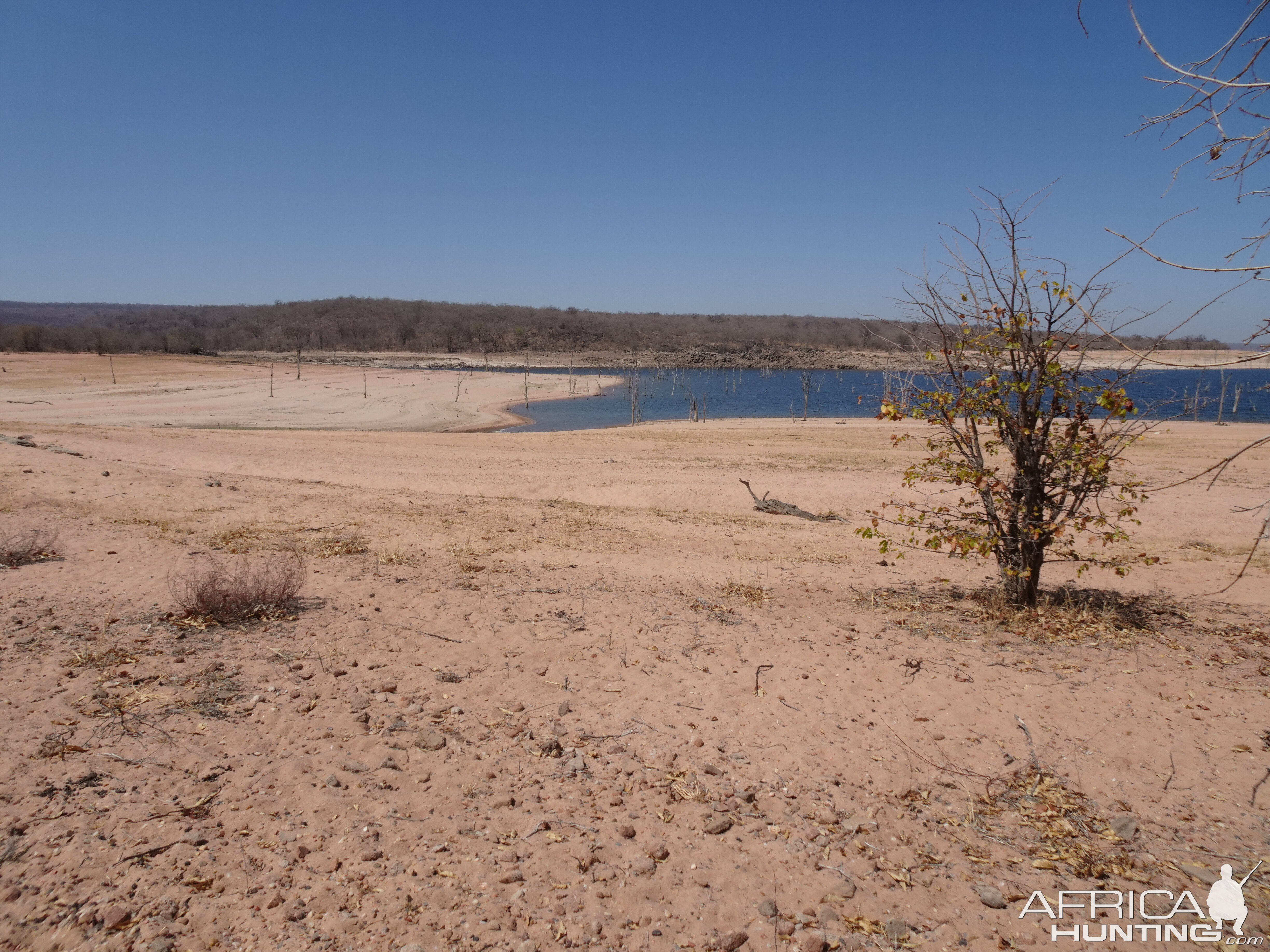 Hunting on the shores of Lake Kariba Zimbabwe